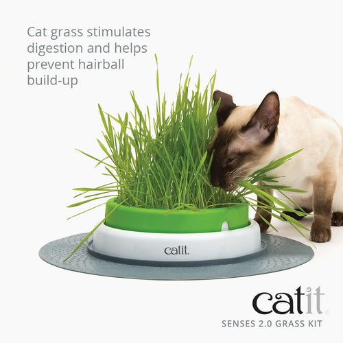 Catit Senses 2.0 Grass Planter, Chat, Commander