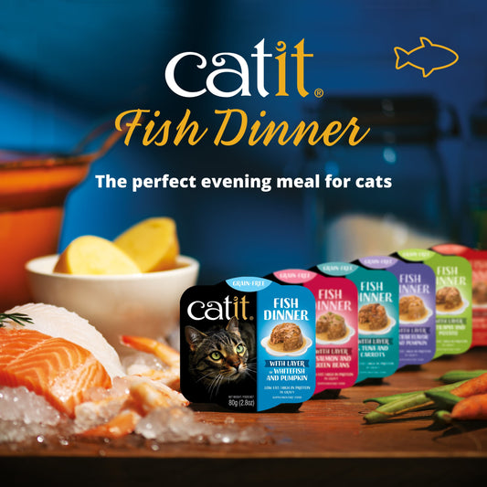 Catit Fish Dinner
