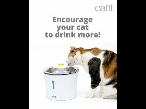 Catit Stainless Steel Flower Fountain – Catit USA - Official Catit ...