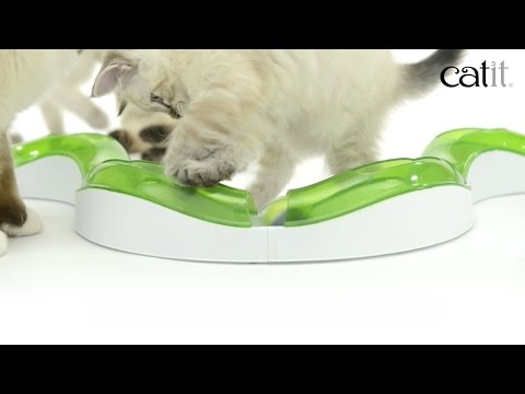 Catit senses play outlet circuit