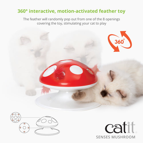 Catit Senses Food Tree – Catit USA - Official Catit Brand Store