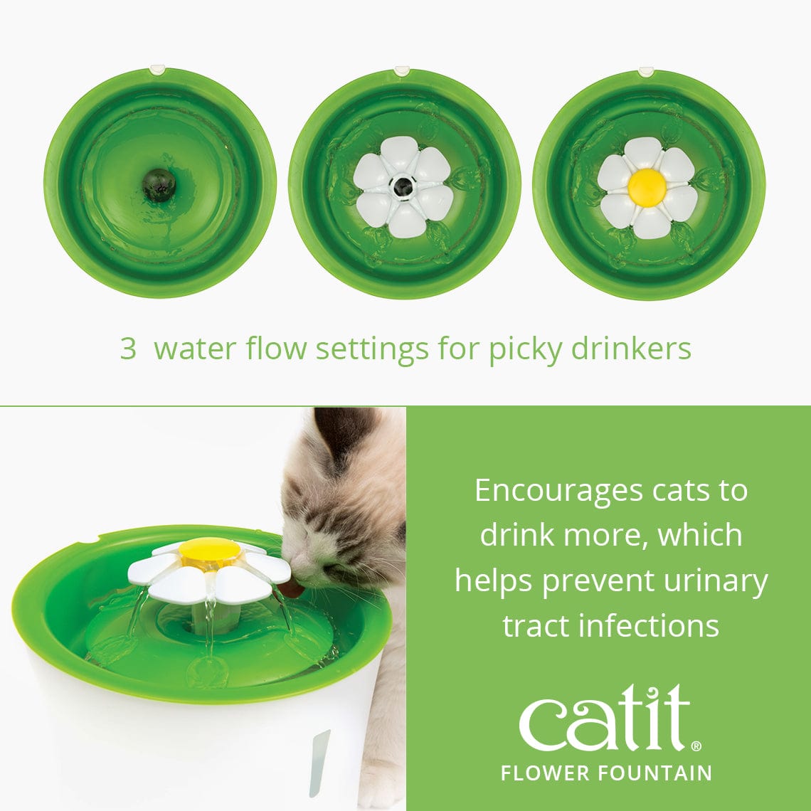 Catit flower 2025 water fountain